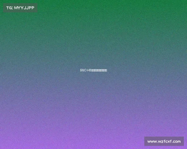 B&O H8使用评测,即误解纠正 B&O H8使用评测,即误解纠正