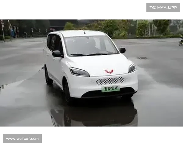 五菱听劝了,即将发布2款平民车,有你的菜吗? 五菱听劝了,即将发布2款平民车,有你的菜吗?