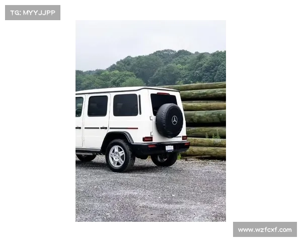全新奔驰G级特别版发布,仅有460辆,复古风格,搭载柴油发动机 全新奔驰G级特别版发布,仅有460辆,复古风格,搭载柴油发动机