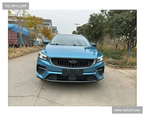 全新帝豪无钥匙启动 自动驻车 座椅记忆 全新帝豪无钥匙启动 自动驻车 座椅记忆